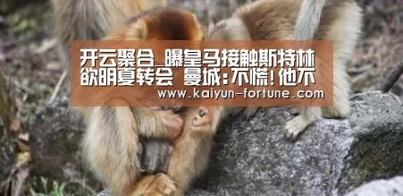 开云聚合